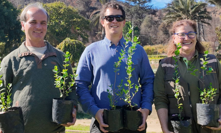 Jardín Botánico en Viña del Mar se reforesta con 3.000 especies