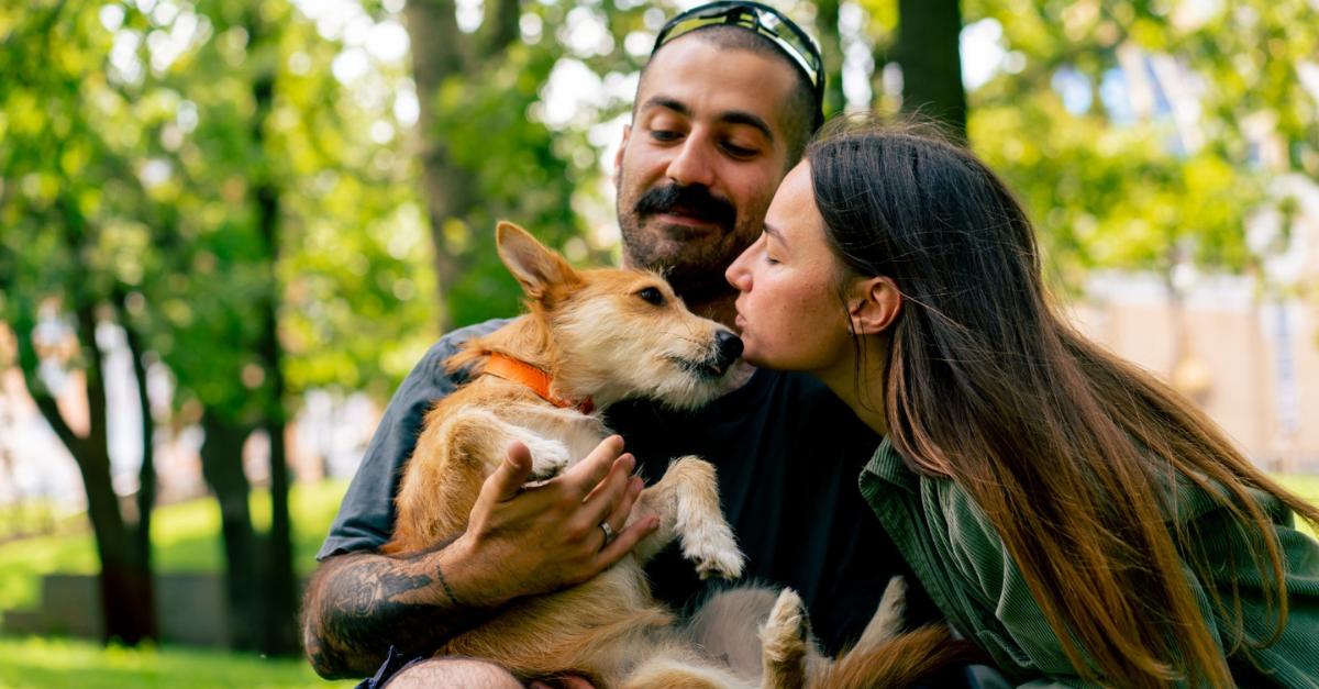 Edificios “pet friendly”: la respuesta del mercado inmobiliario al aumento de mascotas en el hogar