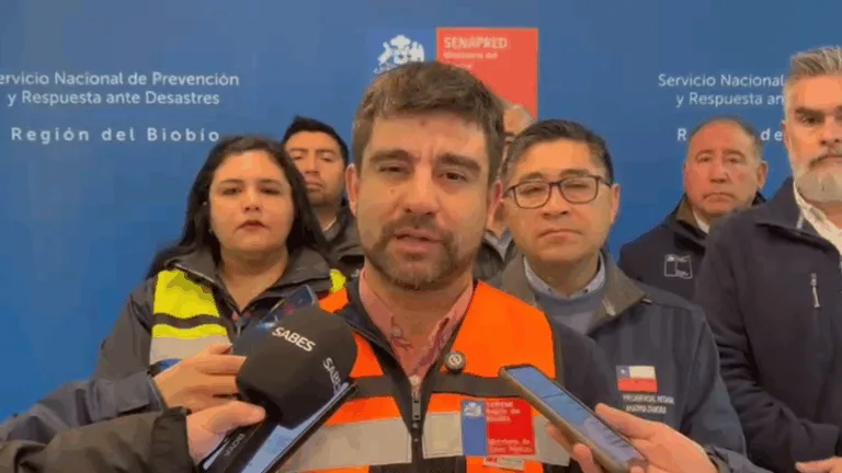 Sistema frontal mantiene rutas operativas en Biobío, pero MOP llama a evitar traslados por caída de árboles
